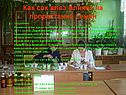 Как сок алоэ влияет на прорастание семян