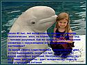 Человек разумный