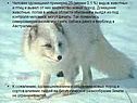 Человек одомашнил примерно 25 (менее 0,1 %) видов животных и птиц
