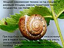 Мощная современная техника
