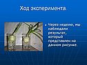 Ход эксперимента
