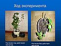Ход эксперимента