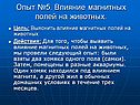 Опыт №5