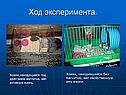Ход эксперимента