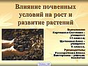 Влияние почвенных условий на рост и развитие растений