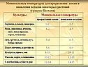 Минимальные температуры для прорастания семян и появления всходов