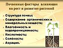 Почвенные факторы влияющие на рост и развитие растений