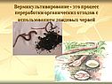 Вермикультивирование - это процесс переработки органических отходов с