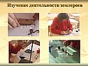 Изучение деятельности землероев