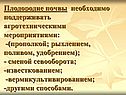 Плодородие почвы необходимо поддерживать агротехническими