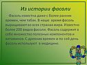 Из истории фасоли