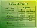 Схема наблюдений