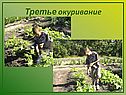 Третье окуривание