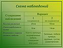 Содержание наблюдений