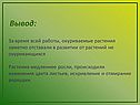Окуриваемые растения
