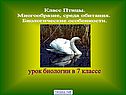 Урок биологии в 7 классе