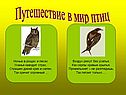 Путешествие в мир птиц