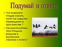 Подумай и ответь