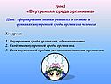 Знания учащихся о составе и функциях внутренней среды организма