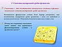 Свойство внутренней среды организма
