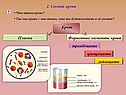 Состав крови