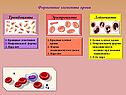 Форменные элементы крови