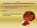 Эритроциты