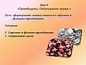 Тромбоциты
