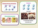 Периоды жизни лейкоцитов