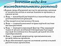 Значение воды для жизнедеятельности растений