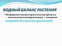 Водный баланс растения