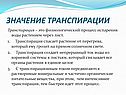 Значение транспирации