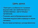 Цель урока