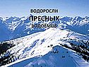 Водоросли пресных водоёмов