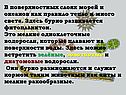 В поверхностных слоях морей и океанов как правило тепло и много света