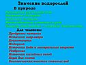 Значение водорослей В природе: Поглощение углекислого газа Выделение