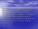 Водоросли – очень древняя группа организмов на Земле