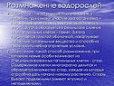 Размножение водорослей