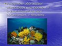 Водоросли обогащают атмосферу кислородом и служат пищей водным