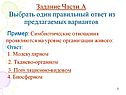 Симбиотические отношения