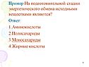 Стадии энергетического обмена
