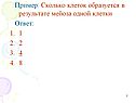 Сколько клеток образуется в результате мейоза