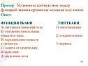 Функция ткани
