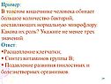 Расщепление клетчатки