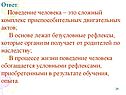 Комплекс приспособительных двигательных актов