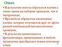 Гаплоидные клетки