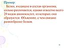 Белки