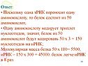 Триплет нуклеотидов