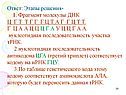 Фрагмент молекулы ДНК