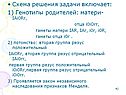 Генотипы родителей